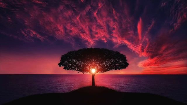 Zoom G3x - 1 Hour of Relaxing Guitar Music for Meditation, Sleep, Relaxation , Study смотреть онлайн