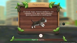 Что? Что с моим котом в Кэт сим? Баги?Лаги?Читы? Мой кот стал мышей! Почему?