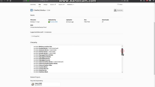 Blockus 1.1.2 to 1.1.4 for 19w09a 1.14 Snapshot Fabric Follow Up Overview смотреть онлайн