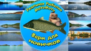 Фарм для новичков на локациях высокого разряда  [NEW] | Реальная Рыбалка