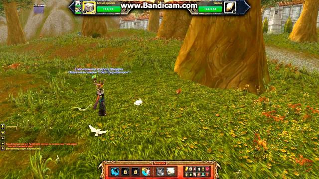 World of Warcraft - Что такое битвы питомцы. смотреть онлайн