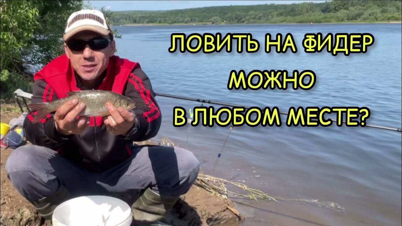Техника ловли на фидер на новом месте. Фидерная рыбалка для начинающих смотреть онлайн