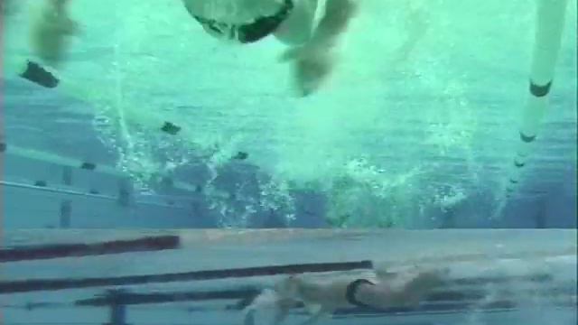 Velimir Stjepanovic Butterfly смотреть онлайн