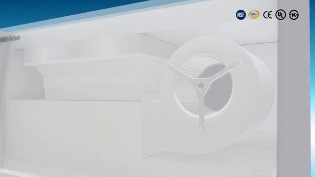 Biolus BSC (Biological Safety Cabinet) смотреть онлайн