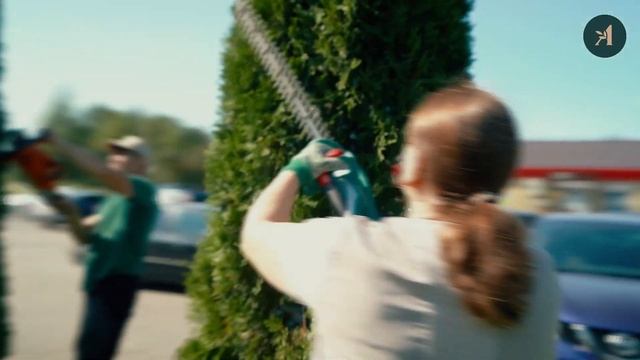 Фигурная и классическая стрижка туй (МАСТЕР КЛАСС) смотреть онлайн