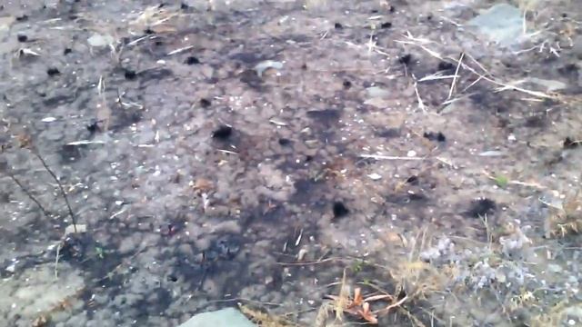 Искажение истории. Развалины в Башкирии. смотреть онлайн