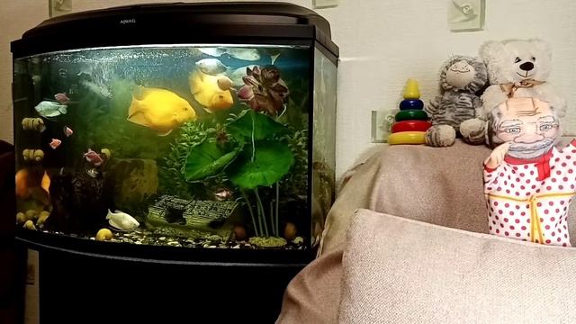 Русские былины. Первый бой Ильи Муромца смотреть онлайн