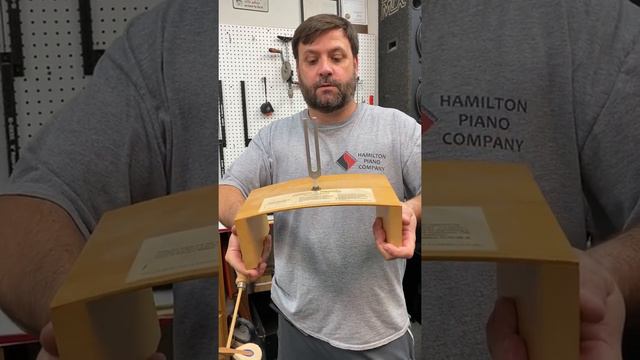 Spruce Tone Wood Transducer Device Demonstrating How a Piano Soundboard Works & What "Crown" is. смотреть онлайн