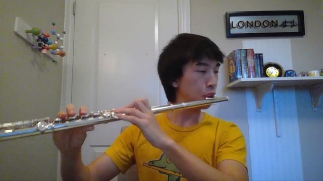 Second Waltz - Shostakovich - Flute Cover смотреть онлайн
