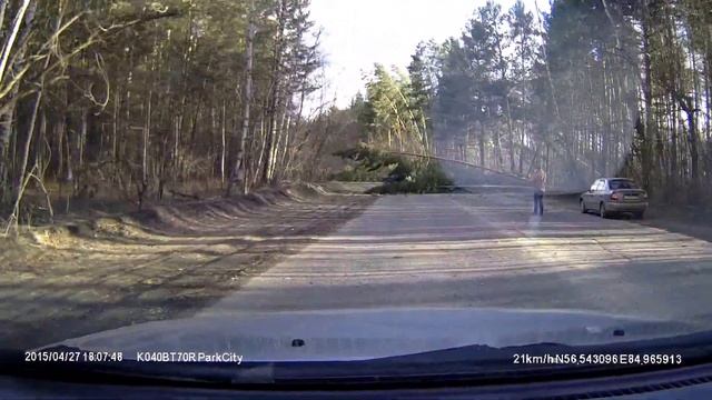 Упали сосны (Северск-Томск). начало. смотреть онлайн