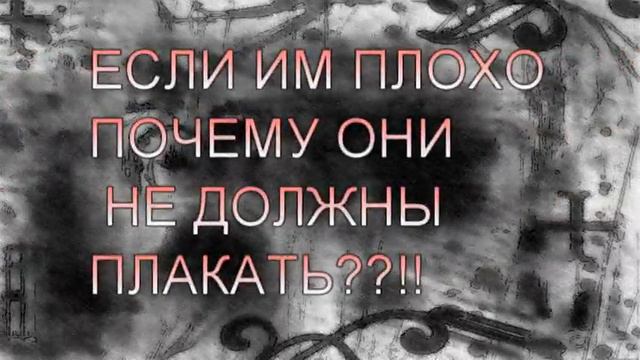 ЭМО.Моя первая публичная работа смотреть онлайн