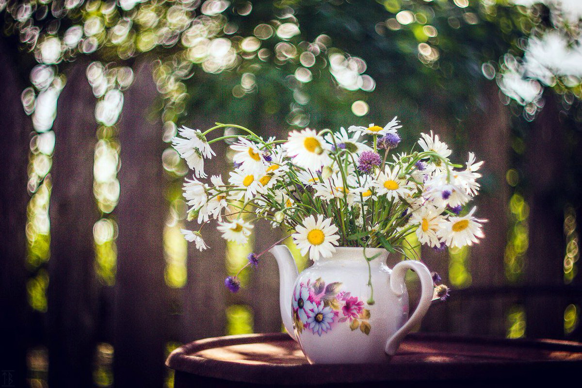 Утреннее настроение