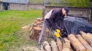 Бензопила Champion 362-18  в работе , распил дров