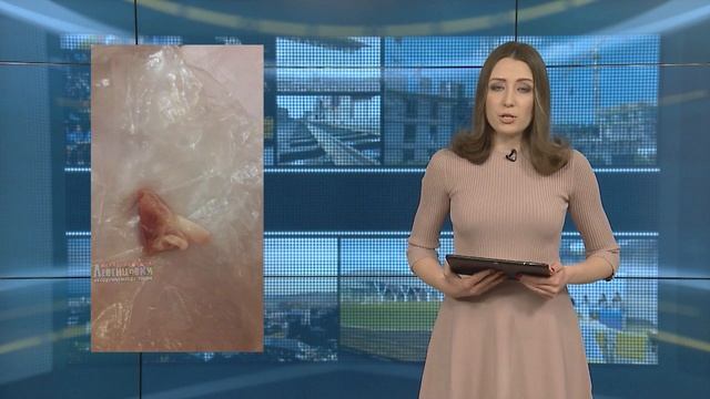 Подсмотрено в сети от 6 февраля 2019 смотреть онлайн