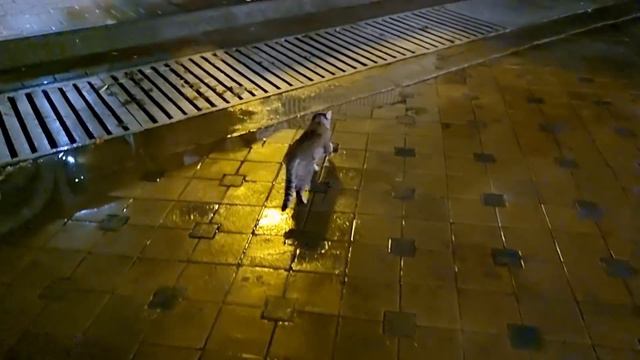 АНАПА - ЦЕНТР ГОРОДА ОПЯТЬ В ГОВНЕ И ЗАТОПИЛО 6.07.2021 смотреть онлайн