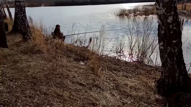 Нам рыбы не надо-Свежий воздух подовай! смотреть онлайн