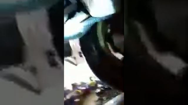 Ford Escort ZX2 смотреть онлайн