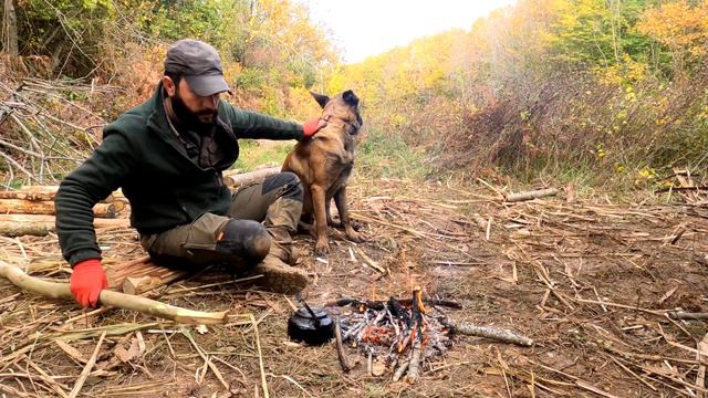 Log Cabin - Building Primitive Forest House from Start to Finish, Bushcraft Camping, DIY, ASMR смотреть онлайн
