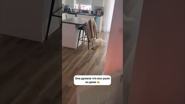 ... смотреть онлайн