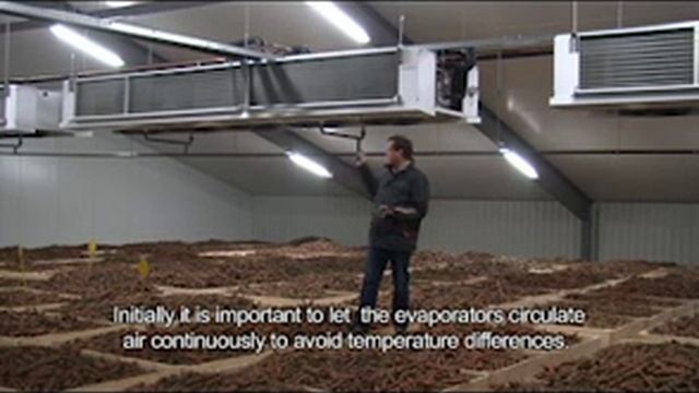 Хранение моркови смотреть онлайн