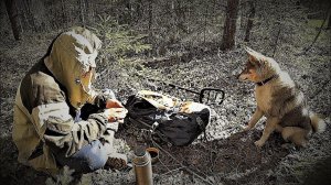 С МАШИНОЙ БЕДА..! ''ЛЕТНИЕ РАСКОПКИ'' МЕДВЕДЬ РАЗРЫЛ ПОЛЯНУ! Встаю на ремонт