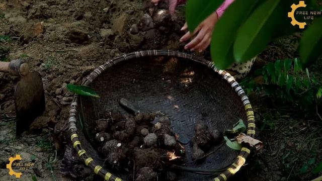 60 Days Harvest & Build Life, COOKING TRADITIONAL Cakes Going To The Market To Sell | Free New Life смотреть онлайн