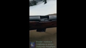 Охота. Мелкашка ТОЗ 17 калибр 5.6.