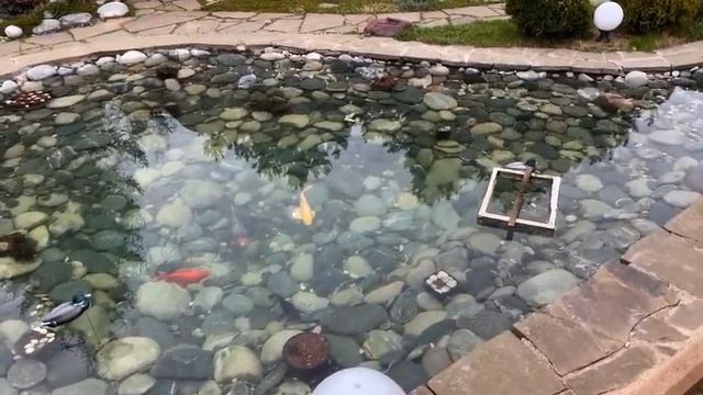 Дача. Влог. Весна, где же ты заплутала? Мой новый гоблин. Запустили водопад.) смотреть онлайн