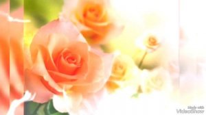 ...розу белую мою на снегу оставила...