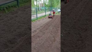 Мотоблок Агат,первый раз нагоняем боровки под картошку.