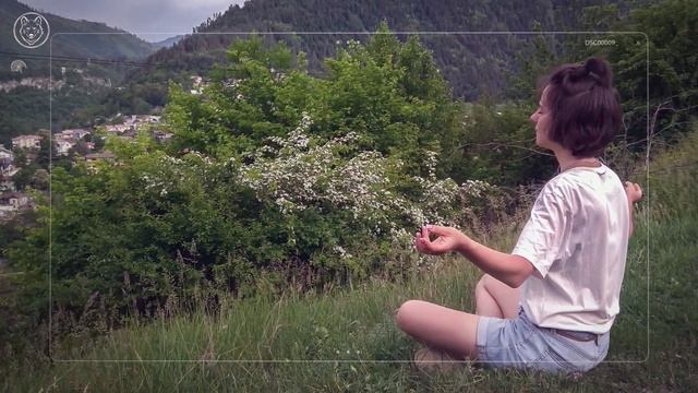 Гамарджоба, Сакартвело! смотреть онлайн