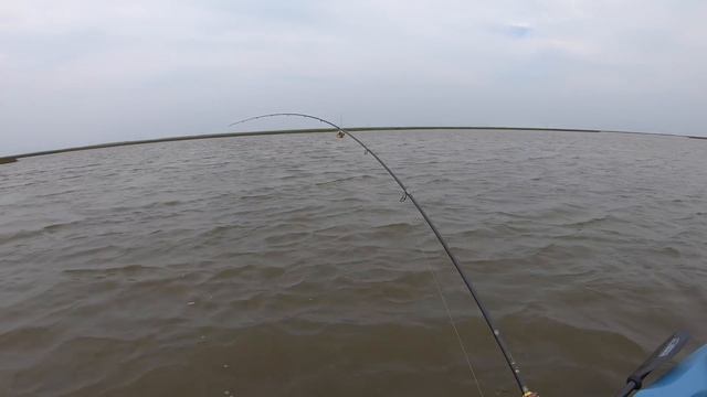 the Secret Easiest way to catch GIANT saltwater Fish смотреть онлайн