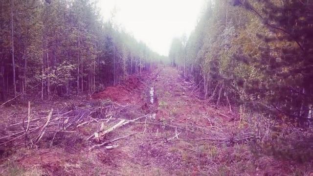 обследование демонтажа старой нефтяной трубы (нефтепечорс-нижний одес) смотреть онлайн