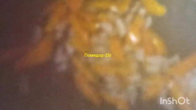 Супчик для ребёнка смотреть онлайн