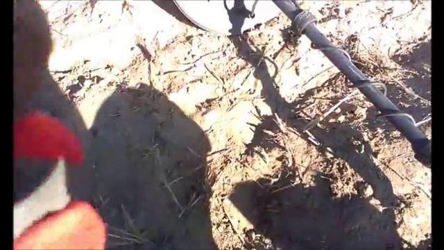 Wykopki z Optimą 05.09.2014 смотреть онлайн