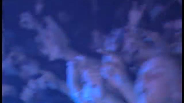 НАИВ - Измена (Live) смотреть онлайн