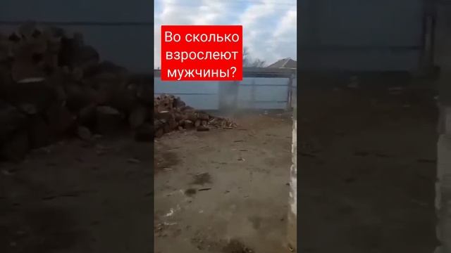 Russia crazy cabin wood life hack Дровокол рубки дрова своими руками лайфхак вместо топора колуна смотреть онлайн