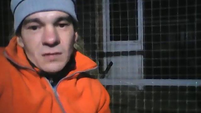 Стрим на природе с животными! смотреть онлайн