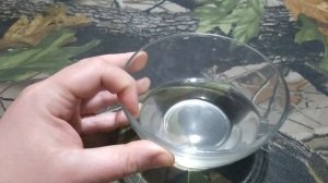 Бустер Ликвид Дип Сироп на карпа и карася | Весенний сироп для рыбалки за 10 минут