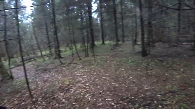 Охота на утку и вальдшнепа с курцхааром Ричардом! смотреть онлайн