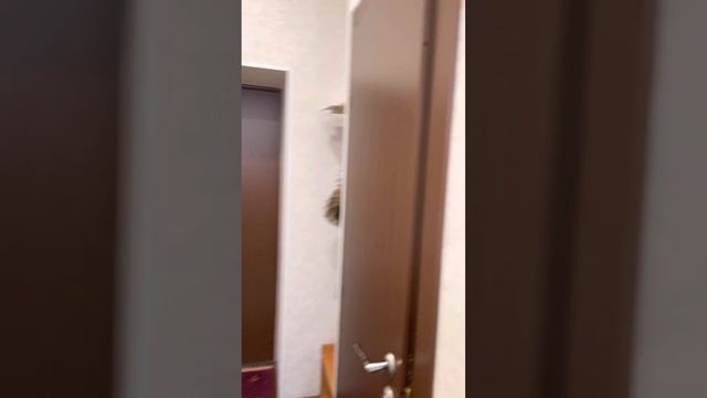 Санаторий Янган Тау, обзор на стандартный номер, корпус 4#санаторий#янгантау#отдыхайкруглыйгод смотреть онлайн