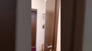 Санаторий Янган Тау, обзор на стандартный номер, корпус    4#санаторий#янгантау#отдыхайкруглыйгод