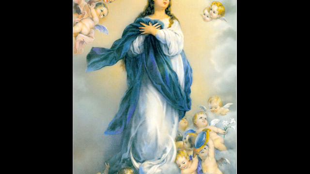 Saudemos Madre Paulina - Canto de Santa Paulina смотреть онлайн