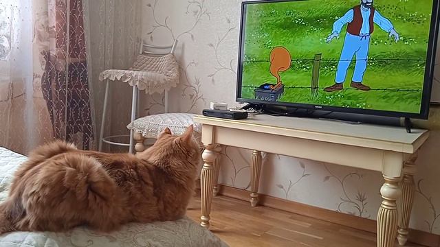 Ерофей любит смотреть мультики 😍💥🧐🔥😊 смотреть онлайн