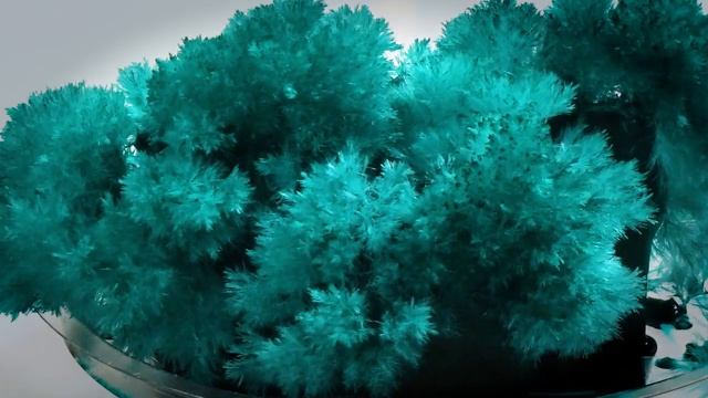 КОРАЛЛЫ. Выращивание кристаллов смотреть онлайн