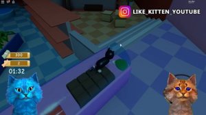 ? ПОБЕГ ПИТОМЦЕВ 2 в РОБЛОКС ПРЯТКИ Pet ? Escape 2 ROBLOX КОТЁНОК ЛАЙК и КОТИК ИГРОМАН
