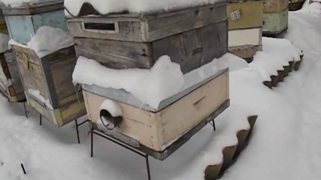 Стройный Мир