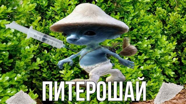 какой ты шайлушай по имени? смотреть онлайн