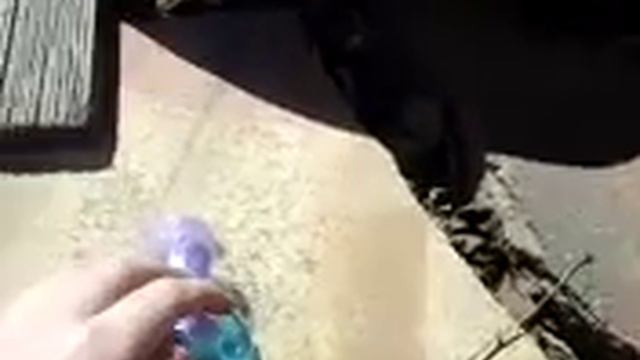 My Little Pony: Пони на даче. 4серия. смотреть онлайн