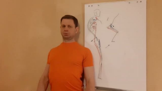 Круглая спина